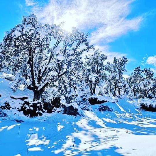 Dar Casa Plasa Grande Chefchaouen Kültér fotó